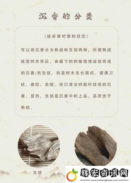 大香煎在錢jia