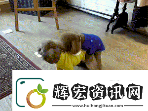 把腿張開