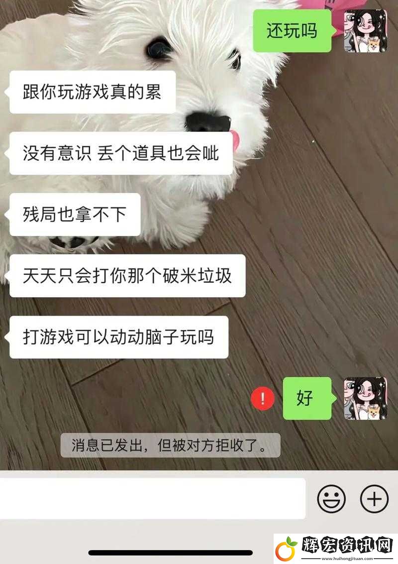 暴躁老姐教你玩