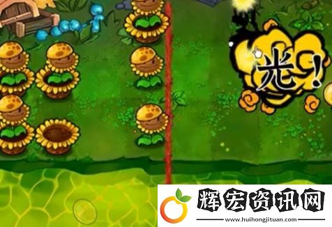 植物大戰(zhàn)僵尸雜交版冒險模式63過關攻略