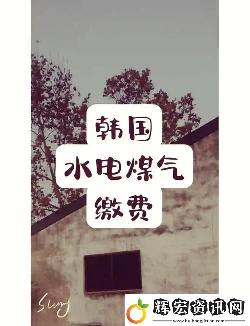 解析好看的韓國三色電費的背后故事與設(shè)計靈感