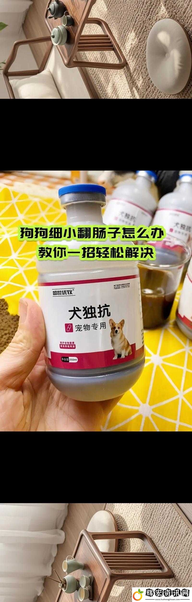 人狗膠配方大全狗狗一天吃多少