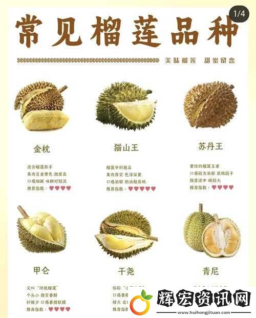榴蓮?fù)茝V