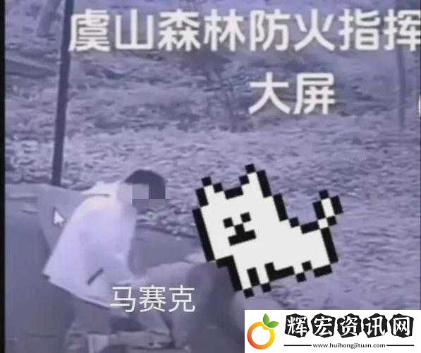 拔蘿卜打牌不蓋被子——趣味十足的別樣場(chǎng)景