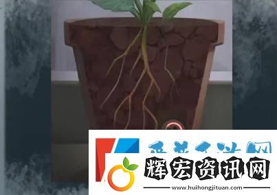 如月車站第四章怎么過(guò)
