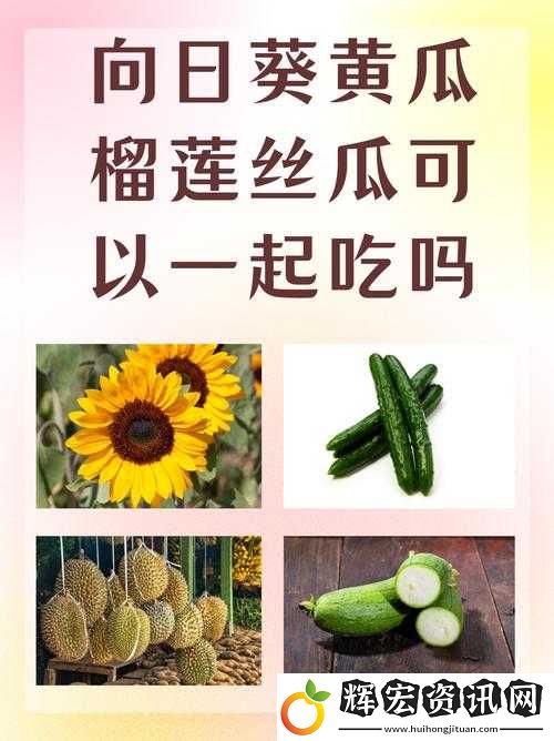 向日葵、黃瓜、榴蓮、絲瓜究竟能不能一起吃