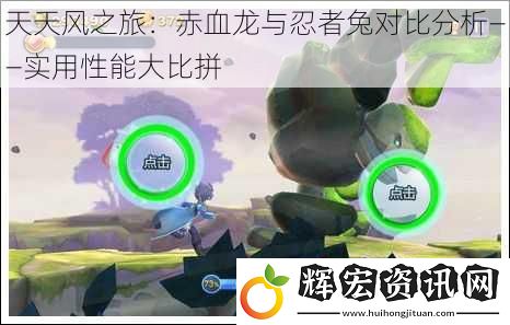 天天風(fēng)之旅：赤血龍與忍者兔對(duì)比分析——實(shí)用性能**拼
