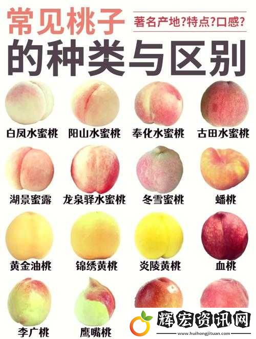 提問(wèn)