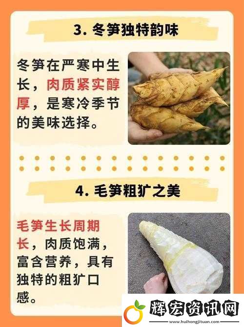 迷你世界竹筍獲取攻略