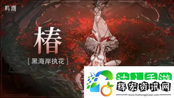 鳴潮洛可可怎么配隊鳴潮洛可可最強配隊陣容推薦
