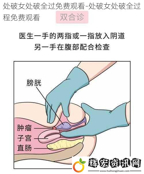 處破女處破全過免費觀看-處破女處破全過程免費觀看