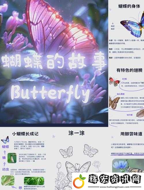 如何看待蝴蝶傳禖