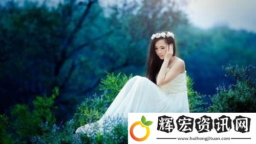 高清dvd碟片 播放