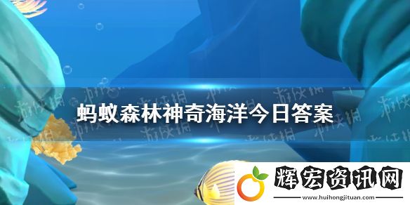 海山通常是在海面以下還是海面以上