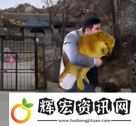七夕嘎子去偷花了什么梗