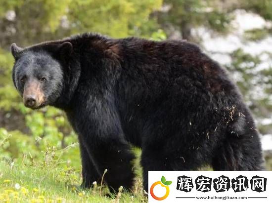 你敢信嗎
