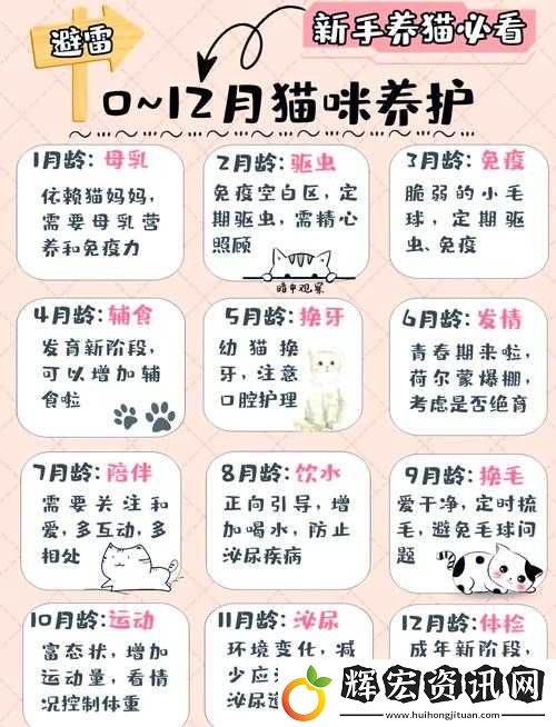 白貓計(jì)劃手游貓咪圖鑒超全攻略！萌系養(yǎng)成黨必看的保姆級(jí)指南