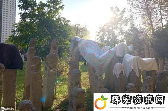 兩個人生猴子全程無被子