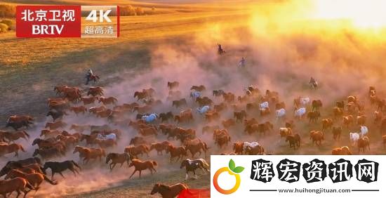 國內(nèi)首個(gè)！北京衛(wèi)視4K超高清頻道震撼亮相