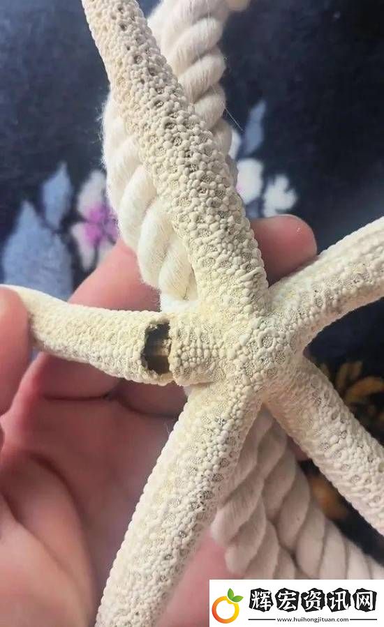 游你扯淡