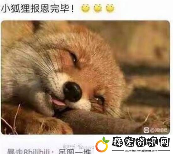 圓潤肥美的身體如何造就