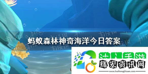以下哪種海洋生物看起來就像是海底綻放的煙花