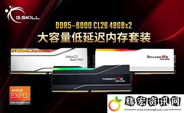 芝奇DDR5