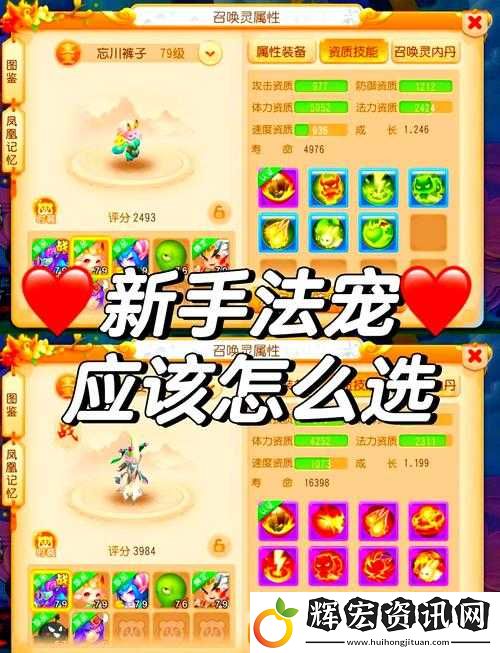 夢(mèng)幻新誅仙寵物配速血淚經(jīng)驗(yàn)！零基礎(chǔ)速成攻略收藏備用